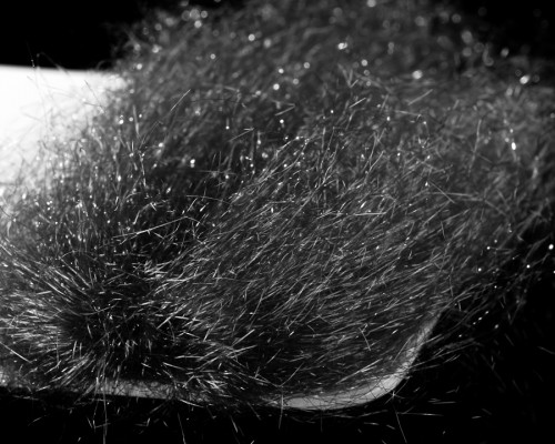 Saltwater Ghost Hair, Black